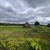 Продам участок 50 соток, ИЖС, Заручье д, 0 км от города