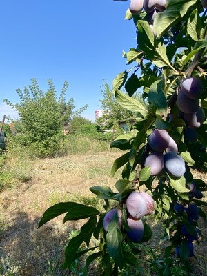 Продам дом, Парижской Коммуны ул, 19/2, Ростов-на-Дону г, 0 км от города
