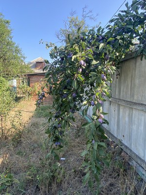 Продам дом, Парижской Коммуны ул, 19/2, Ростов-на-Дону г, 0 км от города