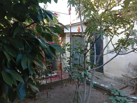 Продам трехкомнатную (3-комн.) квартиру, Бетховена ул, 48, Симферополь г