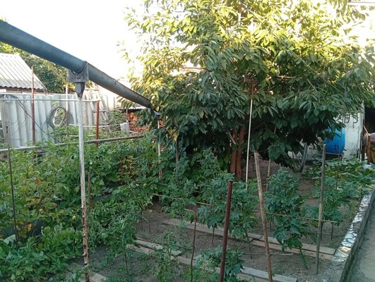 Продам трехкомнатную (3-комн.) квартиру, Бетховена ул, 48, Симферополь г