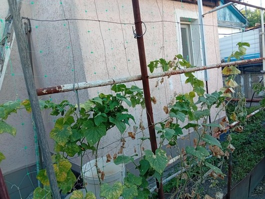 Продам трехкомнатную (3-комн.) квартиру, Бетховена ул, 48, Симферополь г