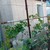 Продам трехкомнатную (3-комн.) квартиру, Бетховена ул, 48, Симферополь г