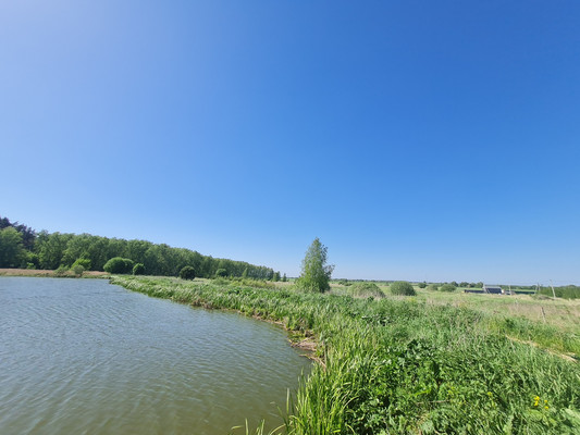 Продам дом, 287, Петровское с, 0 км от города
