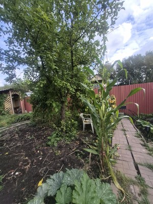 Продам дом, Богородское с, 0 км от города