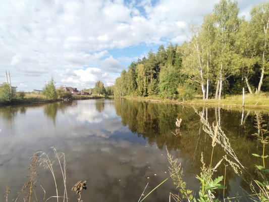 Продам дом, Энтузиастов ул, 14, Чепелево д, 0 км от города