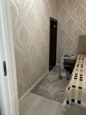 Продам двухкомнатную (2-комн.) квартиру, Островского (Центральный р-н) ул, 35/11, Сочи г