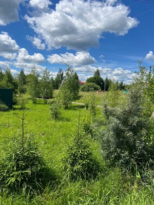 Продам участок 12 соток, ИЖС, Курорт Дорохово ул, Старая Руза д, 0 км от города