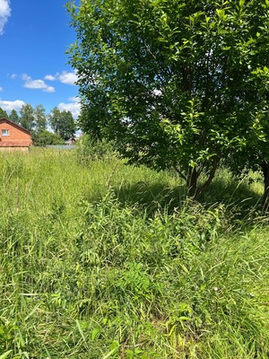 Продам участок 12 соток, ИЖС, Курорт Дорохово ул, Старая Руза д, 0 км от города