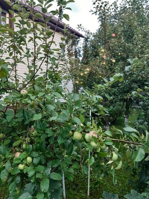 Продам дом, Круговая (ДНП Русская сказка тер.) ул, 144, Кузнецово д, 0 км от города