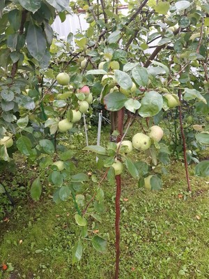 Продам дом, Круговая (ДНП Русская сказка тер.) ул, 144, Кузнецово д, 0 км от города