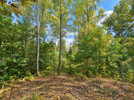 Продам участок 12 соток, Фермерское хоз., СПК АВЭКС тер, Рыжково д, 0 км от города