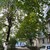 Продам двухкомнатную (2-комн.) квартиру, Т.Идарова ул, 174, Нальчик г