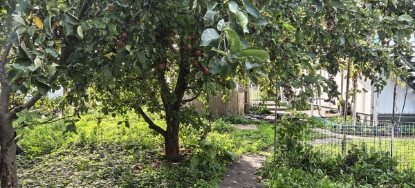 Продам дом, 2-й (Изумруд тер. СНТ) проезд, 36, Калининград г, 0 км от города