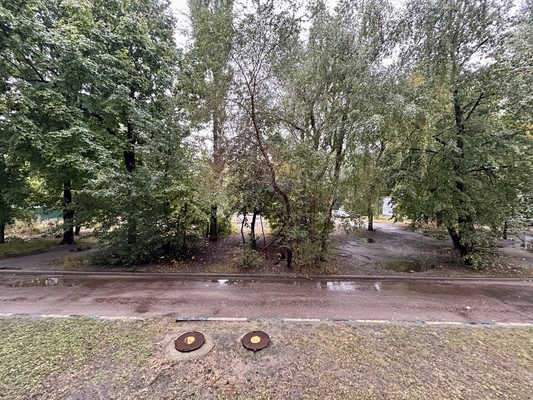 Продам двухкомнатную (2-комн.) квартиру, Пеше-Стрелецкая ул, 111, Воронеж г