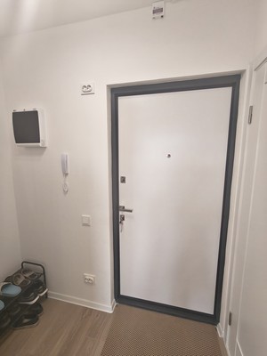 Сдам однокомнатную (1-комн.) квартиру, Муринская дор, 4к1, Санкт-Петербург г