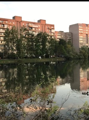 Продам двухкомнатную (2-комн.) квартиру, Большая Санкт-Петербургская ул, 150, Великий Новгород г