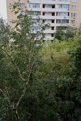 Продам двухкомнатную (2-комн.) квартиру, Щёлковское ш, 86, Москва г