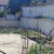 Продам участок 4 соток, ИЖС, Лесная ул, Красная Воля с, 0 км от города