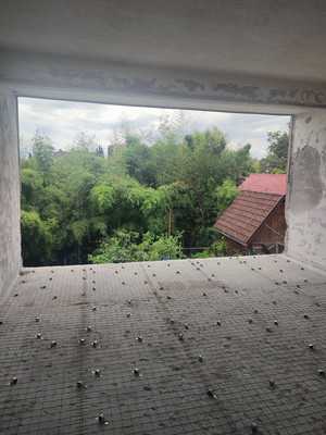 Продам дом, Лесопарковая (Центральный р-н) ул, Сочи г, 0 км от города