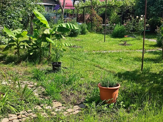 Продам дом, Береговая (Хостинский р-н) ул, 7, Сочи г, 0 км от города