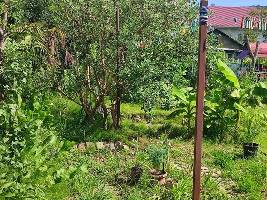 Продам дом, Береговая (Хостинский р-н) ул, 7, Сочи г, 0 км от города