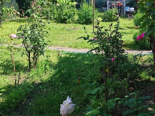 Продам дом, Береговая (Хостинский р-н) ул, 7, Сочи г, 0 км от города