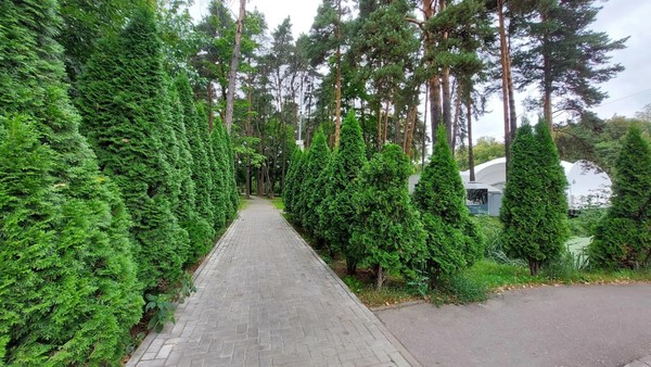 Продам таунхаус, Школьный проезд, 6а, Видное г, 0 км от города