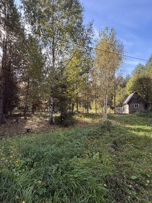 Продам дачу, Светлогорье тер, 0 км от города