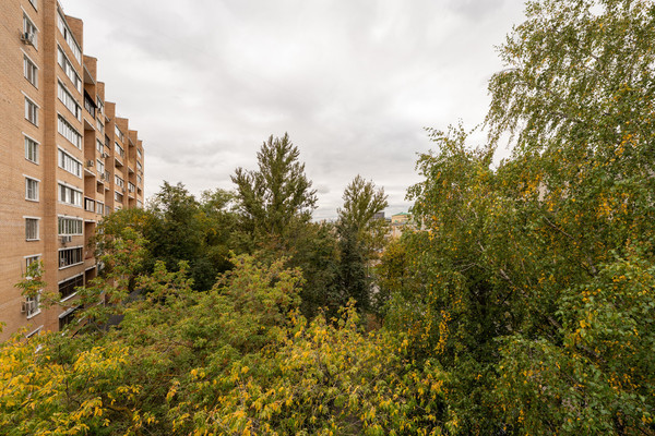 Сдам однокомнатную (1-комн.) квартиру, Парковая 3-я ул, 38, Москва г