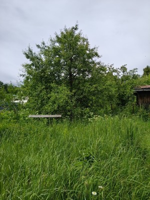 Продам дом, СНТ Бор тер, 32, Лучинское д, 0 км от города