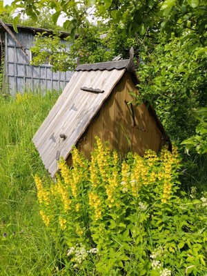 Продам дом, СНТ Бор тер, 32, Лучинское д, 0 км от города