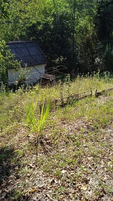 Продам участок 5 соток, Фермерское хоз., Родник-2 снт, Сочи г, 0 км от города