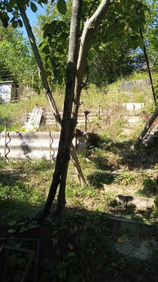 Продам участок 5 соток, Фермерское хоз., Родник-2 снт, Сочи г, 0 км от города