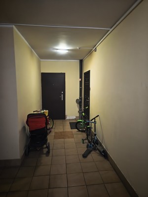 Продам однокомнатную (1-комн.) квартиру, Дениса Давыдова ул, 10, ВНИИССОК п