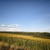Продам участок 8 соток, ИЖС, Сурмино д, 0 км от города