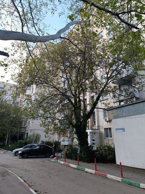 Продам двухкомнатную (2-комн.) квартиру, Марсовый пер, 5к32, Грэсовский пгт