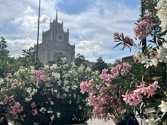 Продам трехкомнатную (3-комн.) квартиру, Большая Садовая ул, 5к1, Москва г