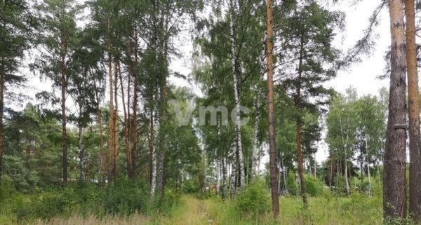 Продам участок 730 соток, ИЖС, Набережная ул, Ногинск г, 1 км от города
