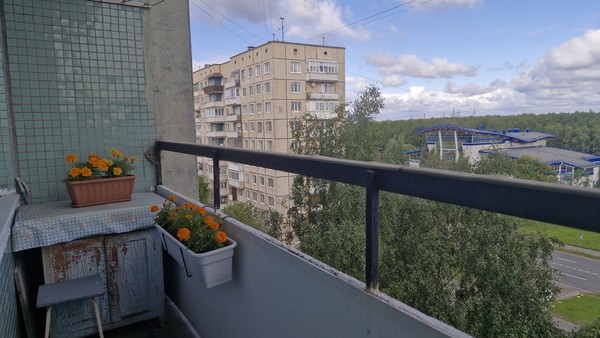 Продам двухкомнатную (2-комн.) квартиру, Ударников пр-кт, 56к1, Санкт-Петербург г