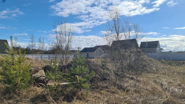 Продам участок 20 соток, Садоводство, Мира ул, Сосновый Бор г, 0 км от города