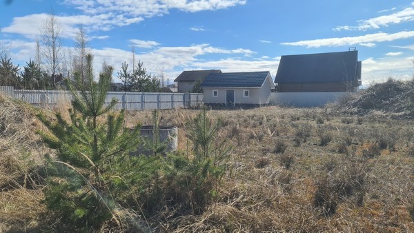 Продам участок 20 соток, Садоводство, Мира ул, Сосновый Бор г, 0 км от города