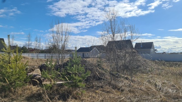 Продам участок 20 соток, Садоводство, Мира ул, Сосновый Бор г, 0 км от города
