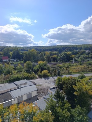 Продам однокомнатную (1-комн.) квартиру, Ладожская ул, 133а, Пенза г
