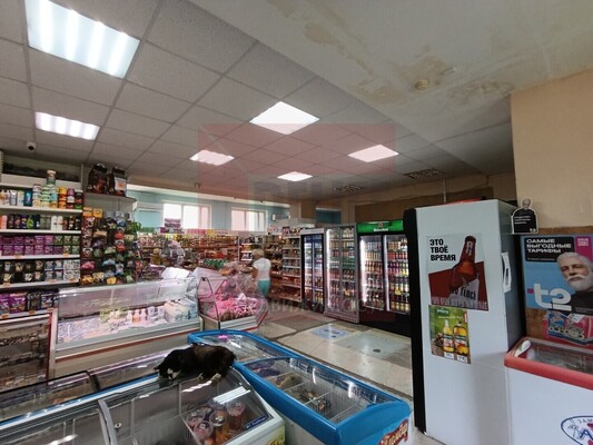 Продам коммерческое помещение 1 165,6 м2, Красноармейская ул, 12, Неман г