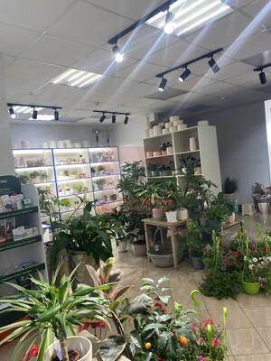 Продам коммерческое помещение 65,3 м2, Киевская ул, 30, Калининград г