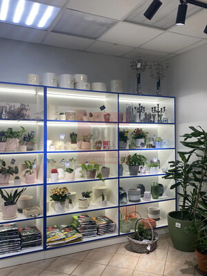 Продам коммерческое помещение 65,3 м2, Киевская ул, 30, Калининград г