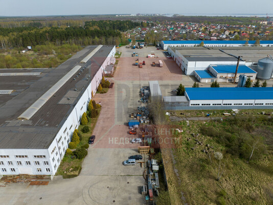 Сдам коммерческое помещение 5 000 м2, Дружбы ул, 1, Светлый г