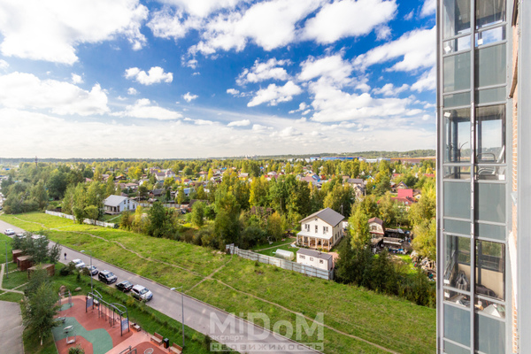 Продам двухкомнатную (2-комн.) квартиру, Шишкина ул, 303к1 стр 1, Парголово п