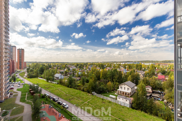Продам двухкомнатную (2-комн.) квартиру, Шишкина ул, 303к1 стр 1, Парголово п